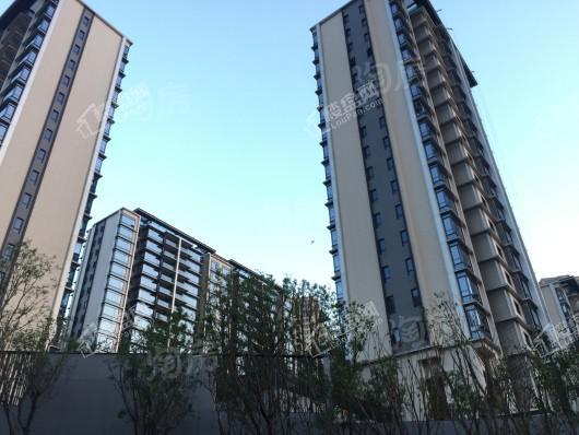 龙湖·尘林间实景图