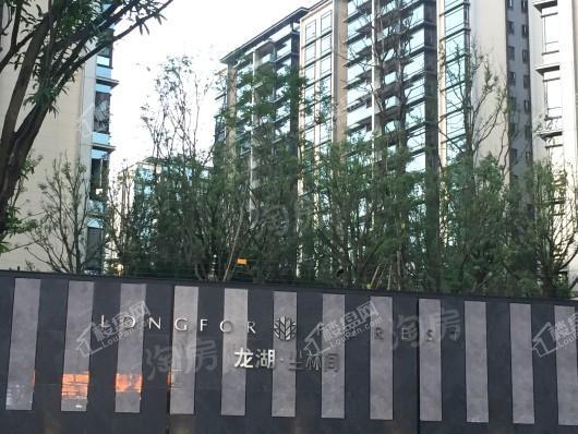 龙湖·尘林间实景图