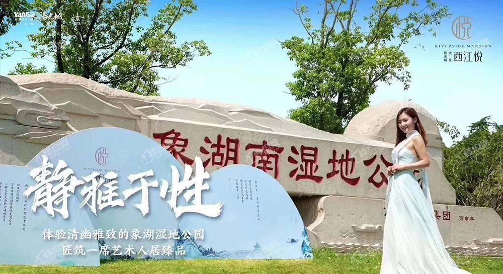 阳光城大发西江悦配套图