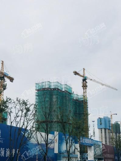 阳光美湖天地实景图