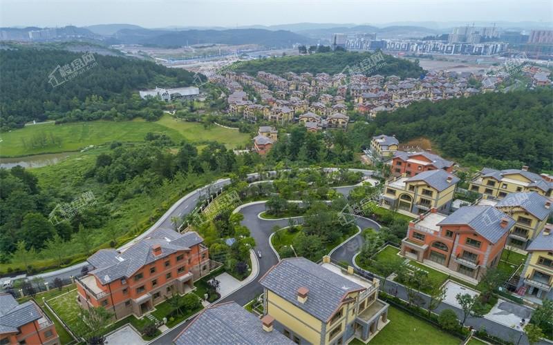 深高速·茵特拉根小镇实景图