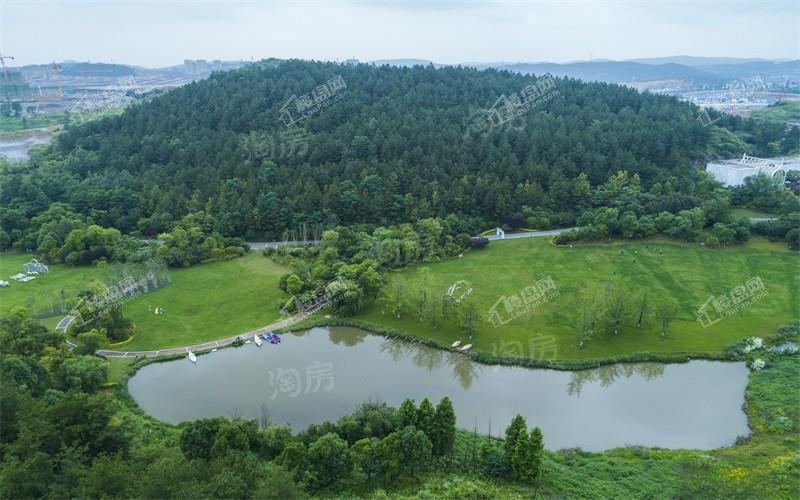 深高速·茵特拉根小镇实景图