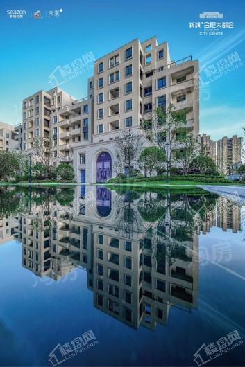 新城·合肥大都会效果图