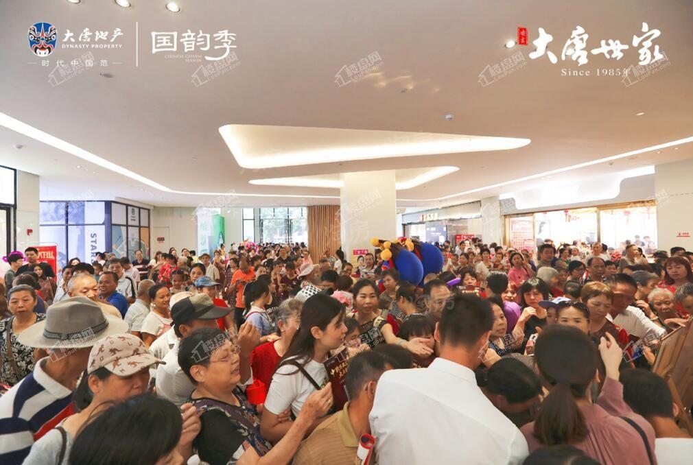 实景图