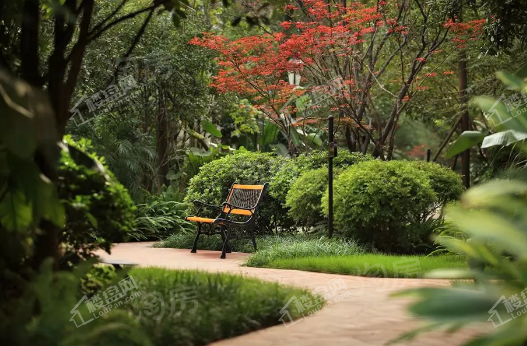 学府天骄效果图