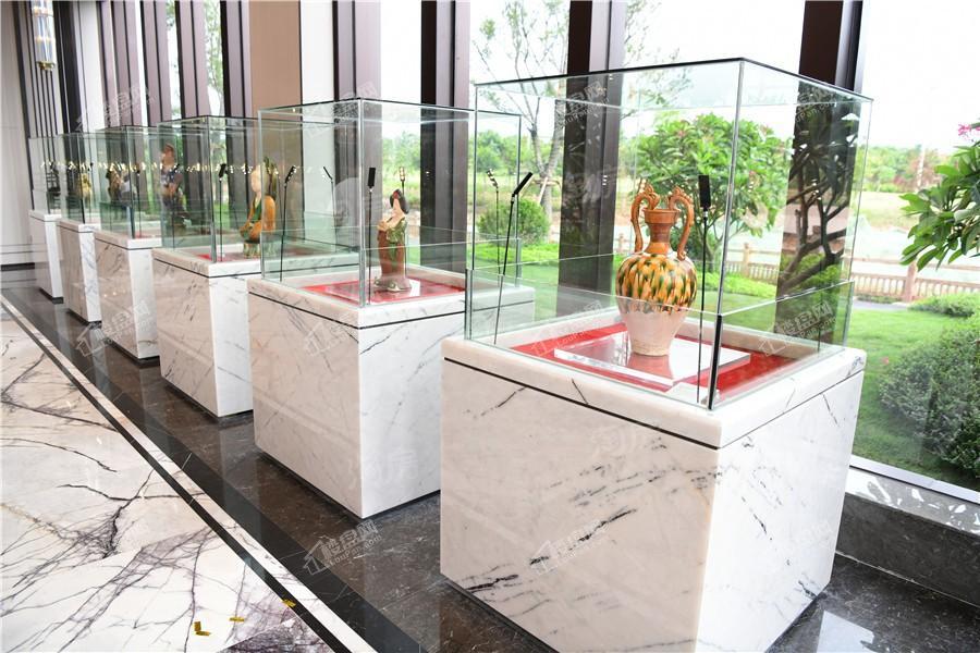 龙光天瀛实景图