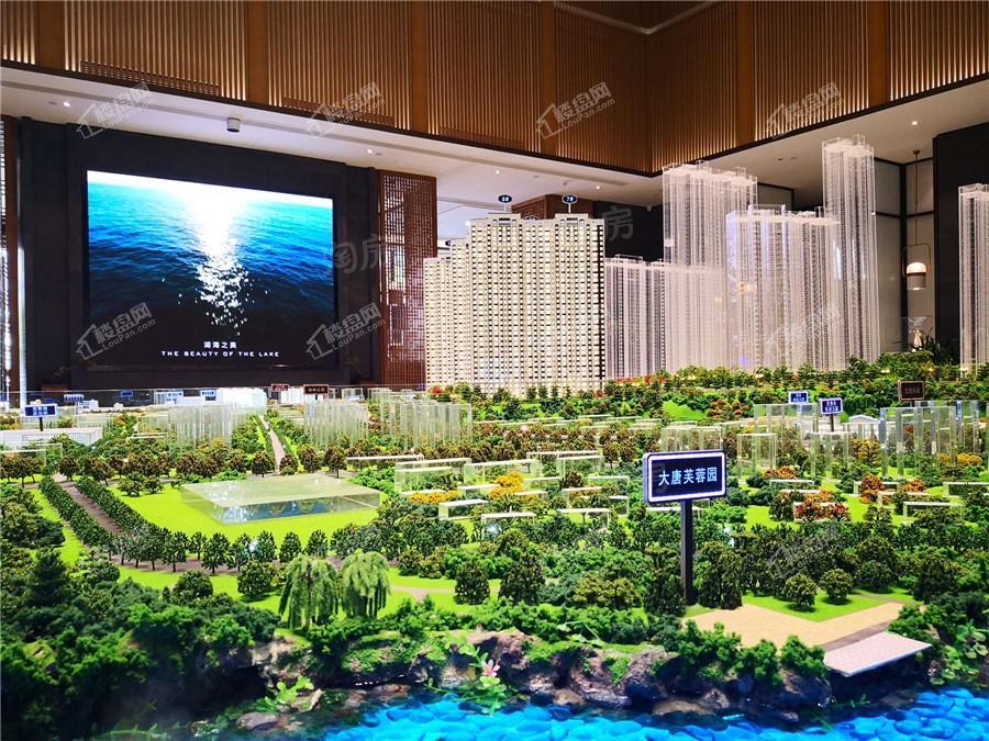 实景图