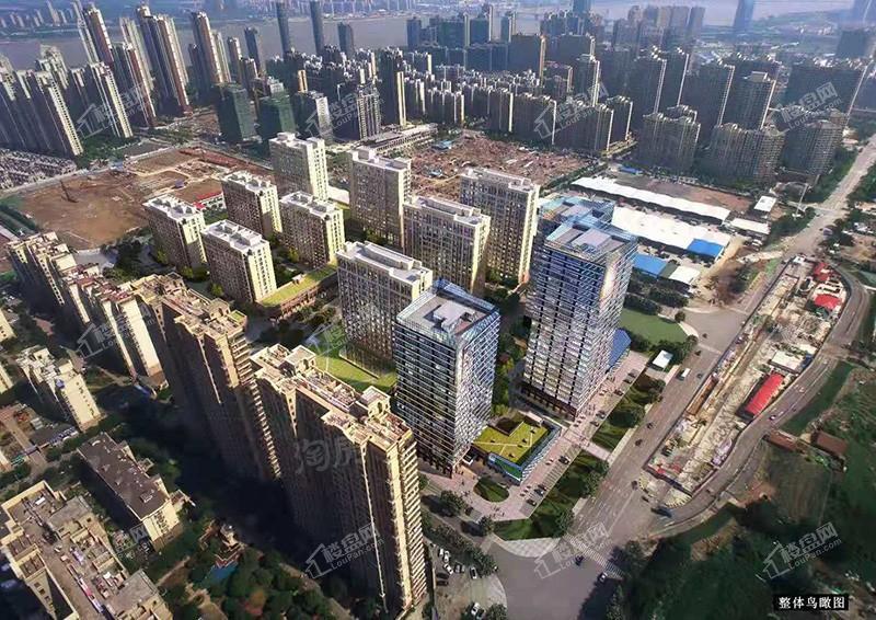 台湾健康产业城效果图