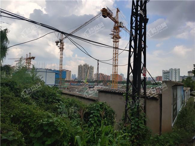 金地商置·昆悦实景图