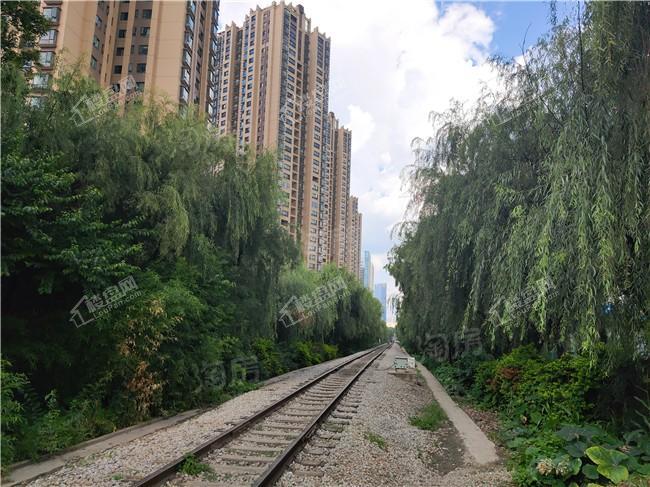 金地商置·昆悦实景图