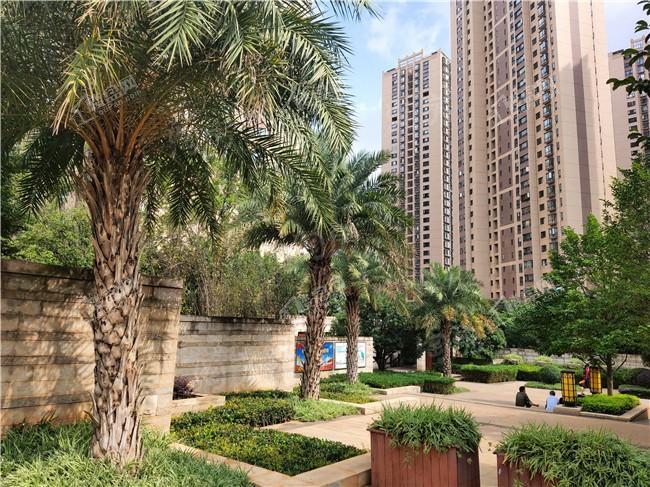 金地商置·昆悦实景图