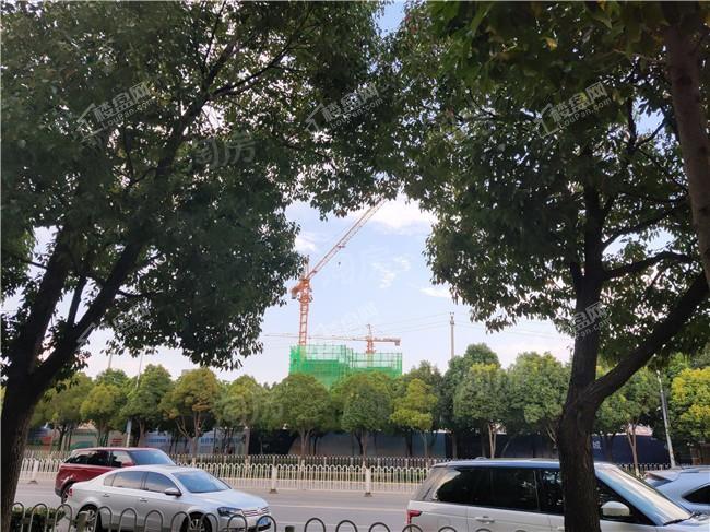 实景图
