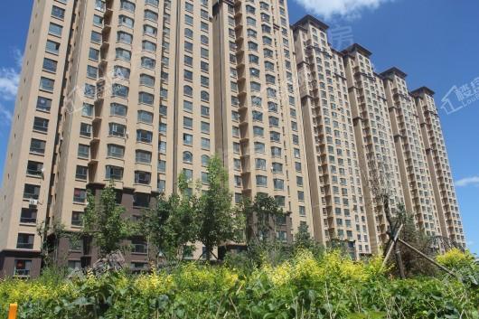 远鹏香林郡实景图