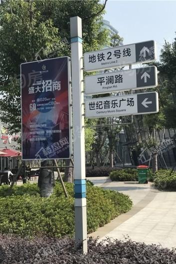 保亿绿城奥邸国际实景图