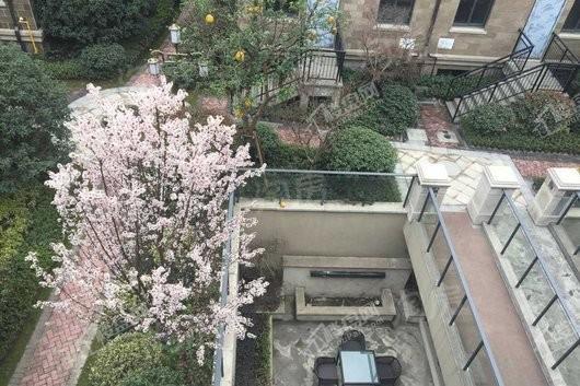 天地墅园首府实景图
