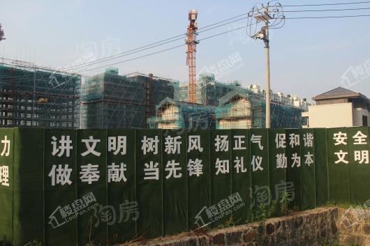 联发藏珑玉墅实景图