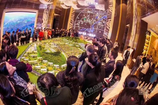 泰禾野风大城小院实景图