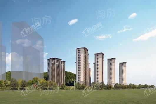 泰禾野风大城小院效果图