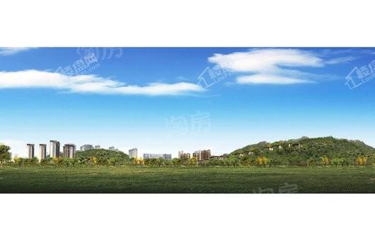 泰禾野风大城小院效果图