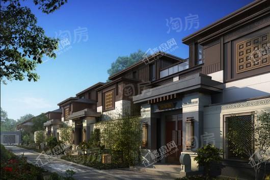 泰禾野风大城小院效果图