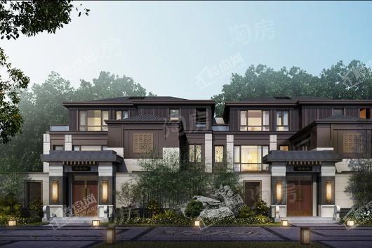 泰禾野风大城小院效果图