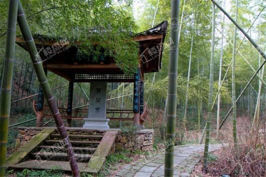 泰禾野风大城小院配套图