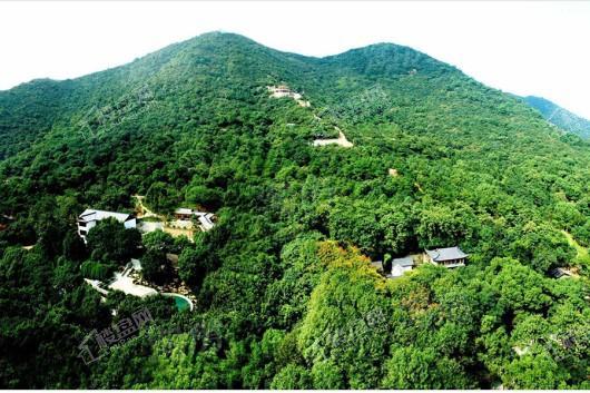 绿城和庐配套图