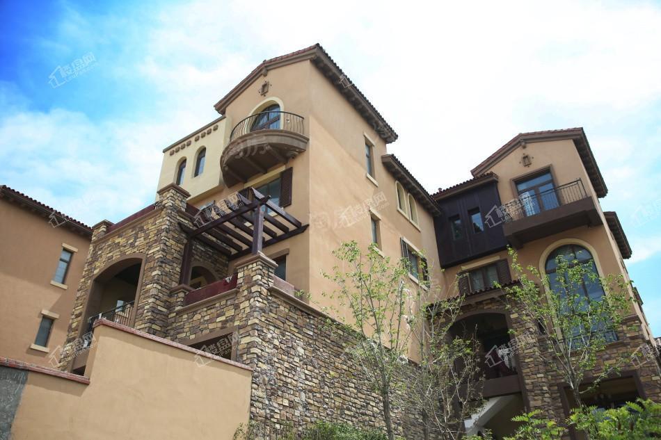 绿城一龙半岛实景图