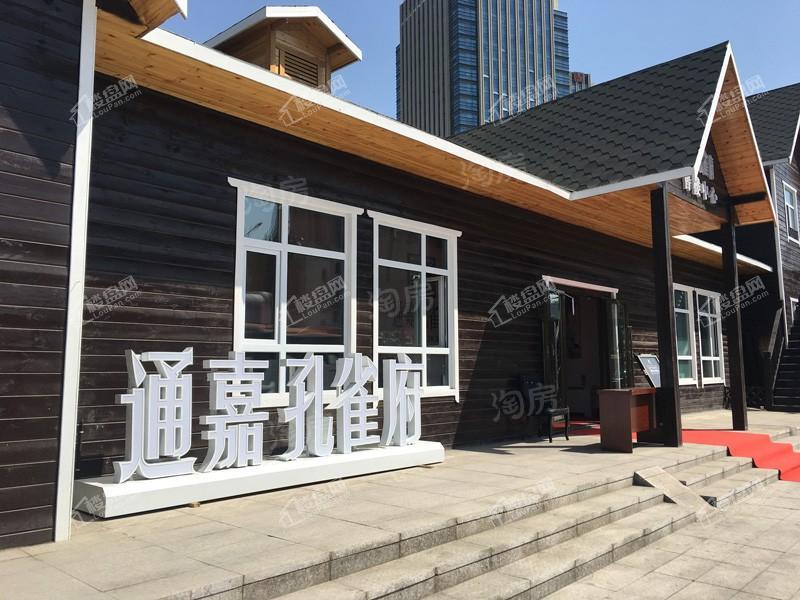 通嘉孔雀府效果图