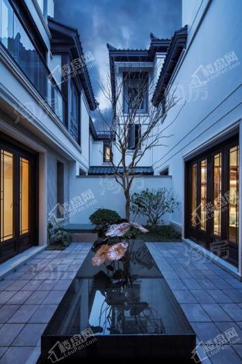 实景图