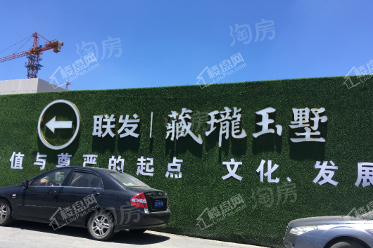 联发藏珑玉墅实景图