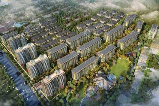 新湖菲林山效果图