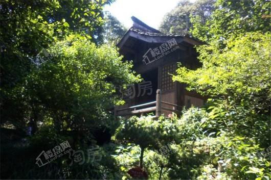 泰禾野风大城小院配套图