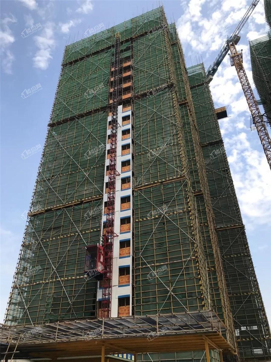 金科博翠山实景图