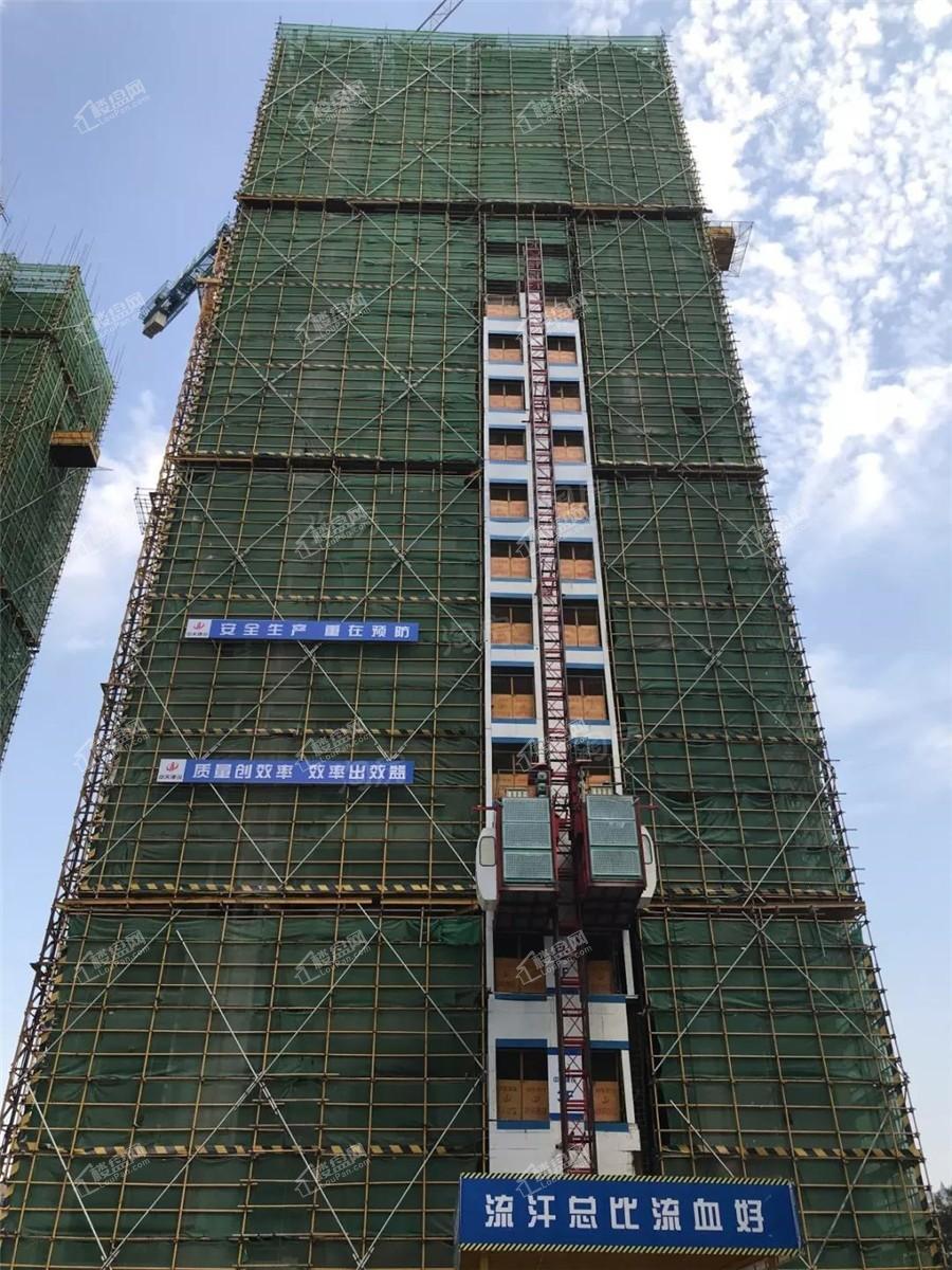 金科博翠山实景图