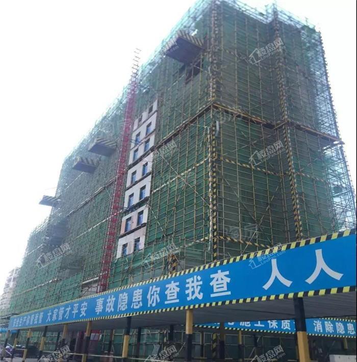 实景图