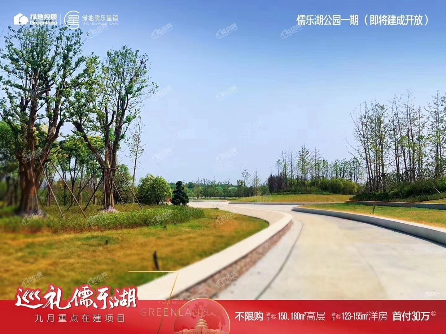 绿地儒乐星镇配套图