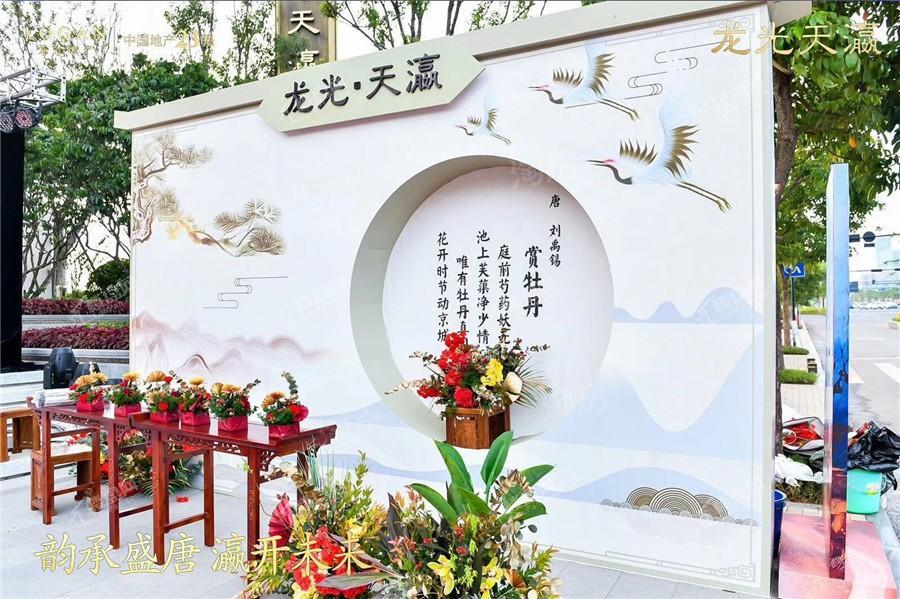 龙光天瀛实景图