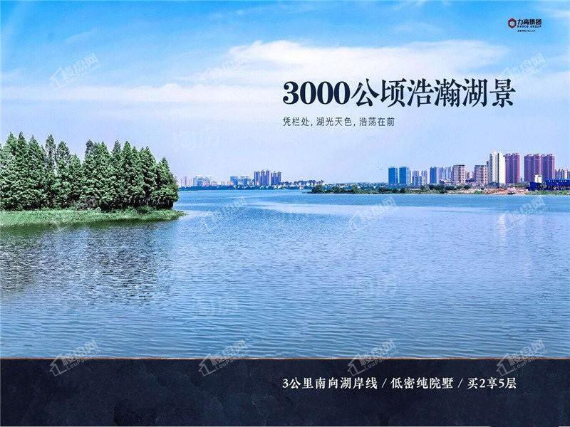 力高雍湖湾效果图
