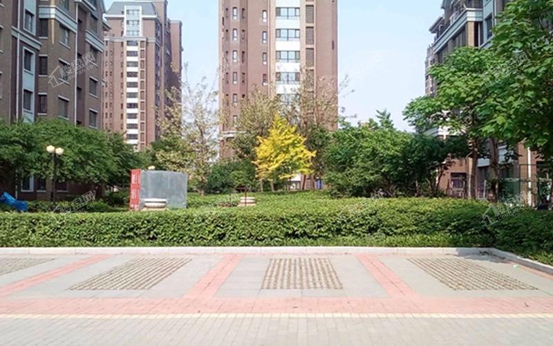 麓林春语 鸣悦实景图