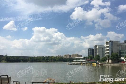中集金地美兰城配套图
