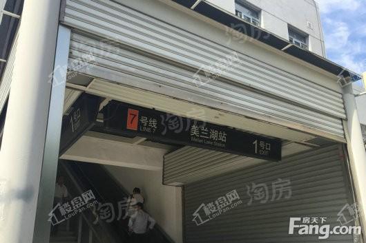 中集金地美兰城配套图
