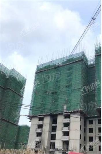 青阳华府实景图