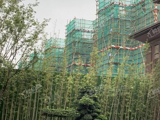 信达泰禾上城院子实景图
