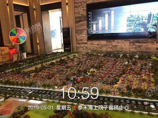 泰禾海上院子实景图