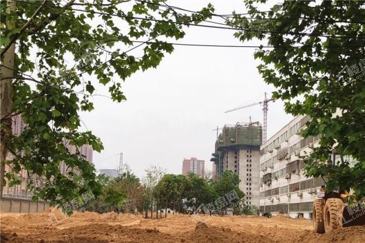 风和朗庭实景图