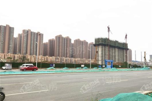 风和朗庭实景图