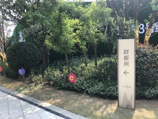 美的·金科郡实景图