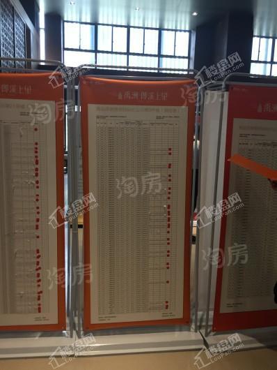 禹洲·郎溪上里实景图