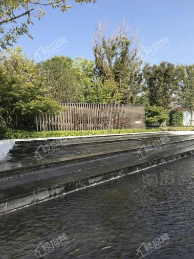 正荣·悦都荟实景图